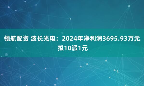 领航配资 波长光电：2024年净利润3695.93万元 拟10派1元
