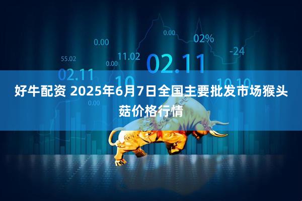 好牛配资 2025年6月7日全国主要批发市场猴头菇价格行情