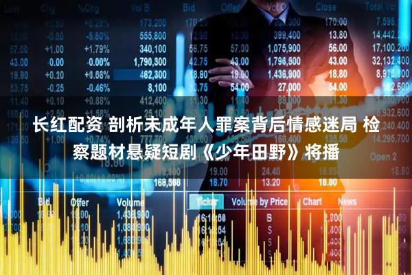 长红配资 剖析未成年人罪案背后情感迷局&#32;检察题材悬疑短剧《少年田野》将播