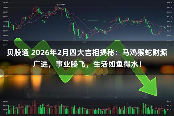 贝股通 2026年2月四大吉相揭秘：马鸡猴蛇财源广进，事业腾飞，生活如鱼得水！