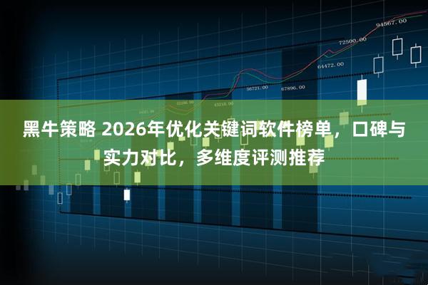 黑牛策略 2026年优化关键词软件榜单，口碑与实力对比，多维度评测推荐