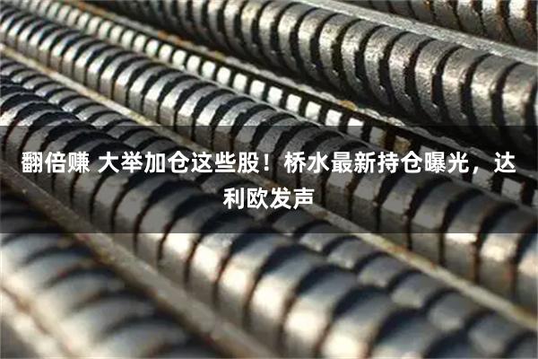 翻倍赚 大举加仓这些股！桥水最新持仓曝光，达利欧发声