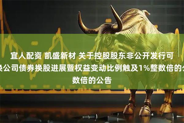 宜人配资 凯盛新材 关于控股股东非公开发行可交换公司债券换股进展暨权益变动比例触及1%整数倍的公告