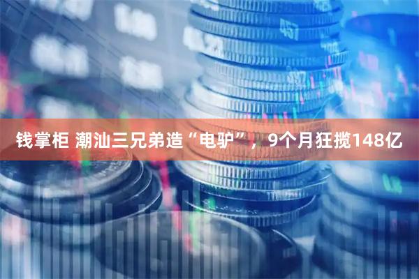 钱掌柜 潮汕三兄弟造“电驴”，9个月狂揽148亿